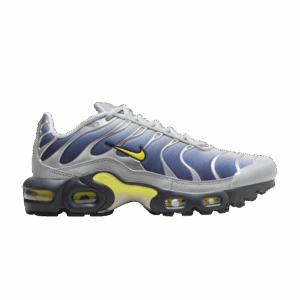 Nike Air Max Plus Obsidian Silver (GS)