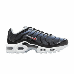 Nike Air Max Plus Blue Tint Rugged Orange (GS)