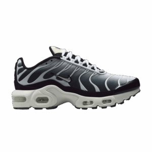 Nike Air Max Plus Black White Sail Metallic Cool Grey (GS)