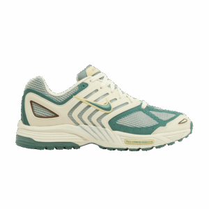 Nike Air Peg 2K5 Bicoastal