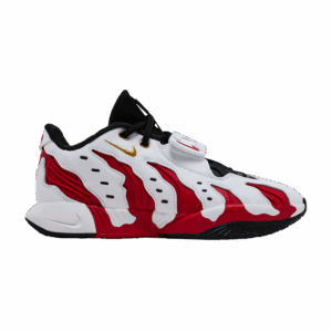 Nike LeBron 21 Prime 96