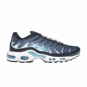 Nike Air Max Plus Dark Obsidian