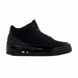 Jordan 3 Retro Black Cat (2025)